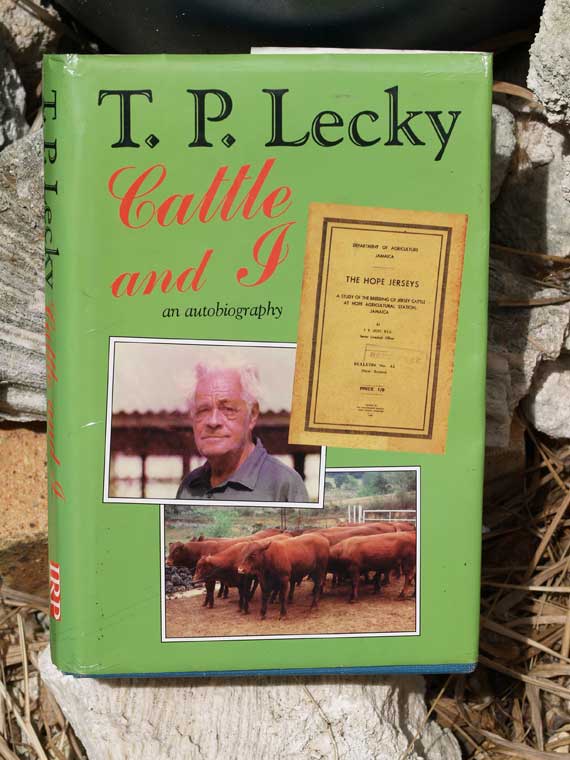 Thomas (T. P.) Lecky pictured on his book which describes his revolutionary development of Jamaica Hope and other cattle breeds for the tropical Jamaican environment. Photo: Wilberne Persaud © Ian Randle Publishers.